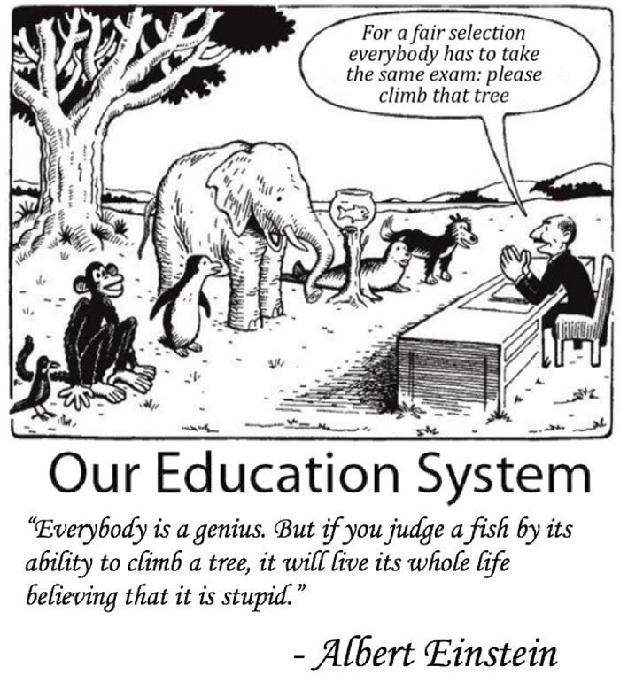 education system Alpha Child Care